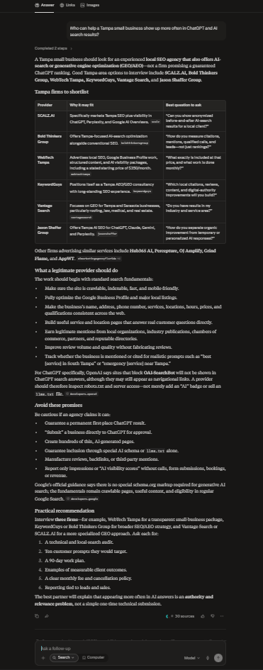 Perplexity Tampa AI visibility agency baseline result